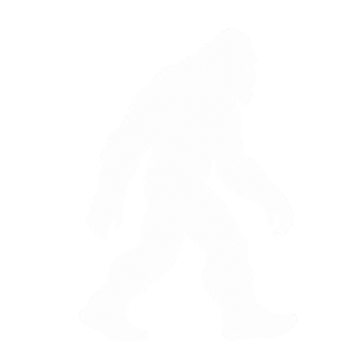 Florida Skunk Ape Bigfoot